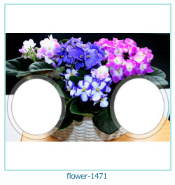 marco de fotos de flores 1471
