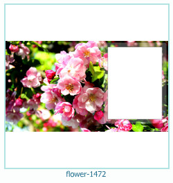marco de fotos de flores 1472