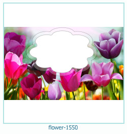 marco de fotos de flores 1550