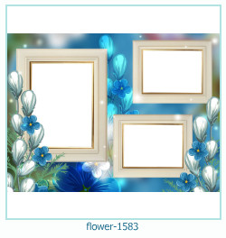 marco de fotos de flores 1583