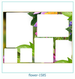 marco de fotos de flores 1585