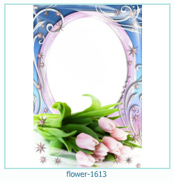 marco de fotos de flores 1613