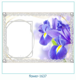 marco de fotos de flores 1637