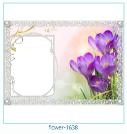 marco de fotos de flores 1638