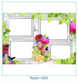 marco de fotos de flores 1659