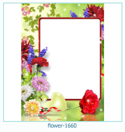 marco de fotos de flores 1660