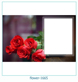 marco de fotos de flores 1665