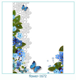 marco de fotos de flores 1672