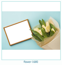 marco de fotos de flores 1680