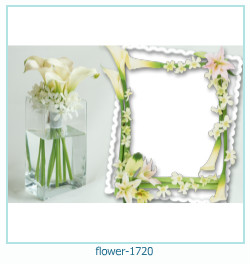 marco de fotos de flores 1720