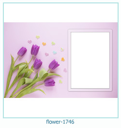 marco de fotos de flores 1746