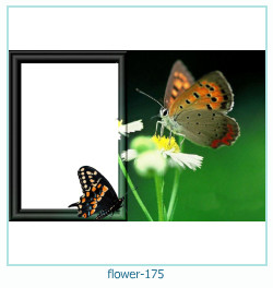 marco de fotos de flores 175