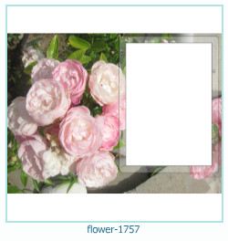 marco de fotos de flores 1757