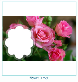 marco de fotos de flores 1759