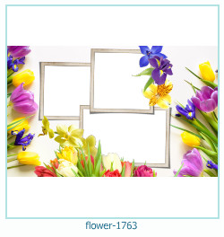 marco de fotos de flores 1763