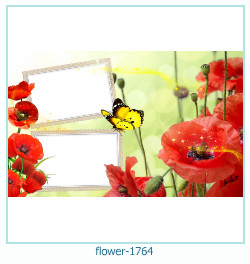 marco de fotos de flores 1764