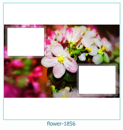 marco de fotos de flores 1856
