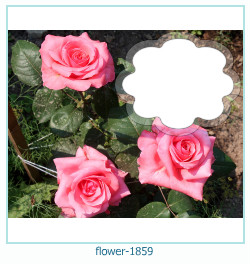 marco de fotos de flores 1859