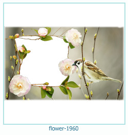 marco de fotos de flores 1960