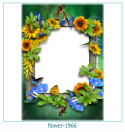 marco de fotos de flores 1966