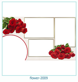 marco de fotos de flores 2009