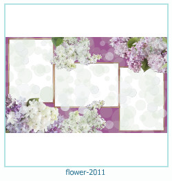 marco de fotos de flores 2011