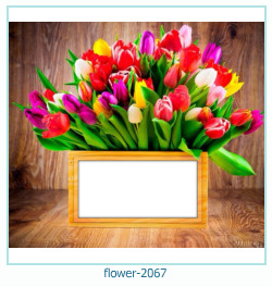 marco de fotos de flores 2067