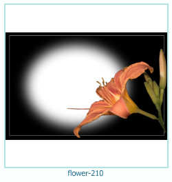 marco de fotos de flores 210