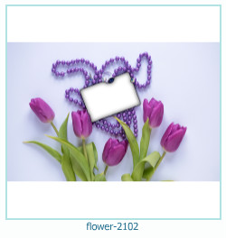 marco de fotos de flores 2102
