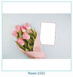marco de fotos de flores 2103