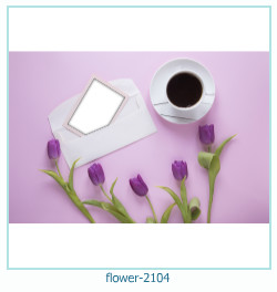 marco de fotos de flores 2104