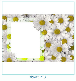 marco de fotos de flores 213