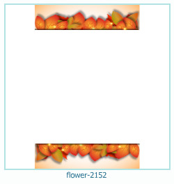 marco de fotos de flores 2152