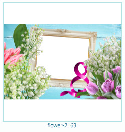 marco de fotos de flores 2163