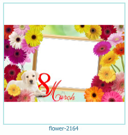 marco de fotos de flores 2164