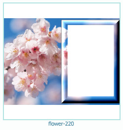 marco de fotos de flores 220