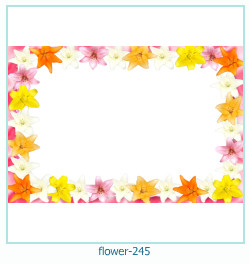 marco de fotos de flores 245
