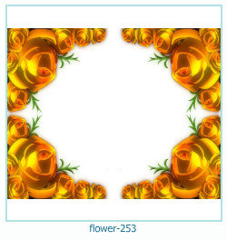 marco de fotos de flores 253