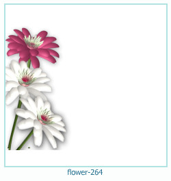 marco de fotos de flores 264