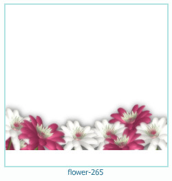 marco de fotos de flores 265