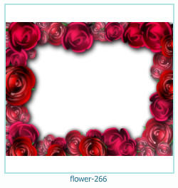marco de fotos de flores 266
