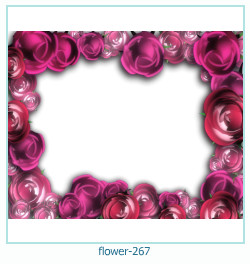 marco de fotos de flores 267