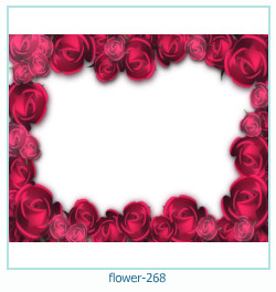 marco de fotos de flores 268