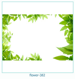 marco de fotos de flores 382