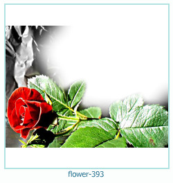 marco de fotos de flores 393
