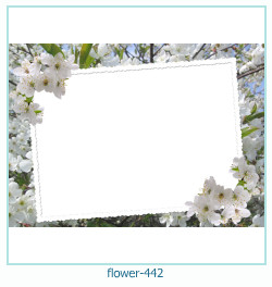 marco de fotos de flores 442