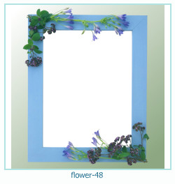 marco de fotos de flores 48