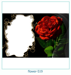 marco de fotos de flores 519