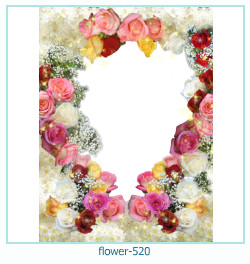 marco de fotos de flores 520