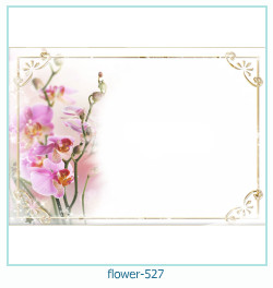 marco de fotos de flores 527